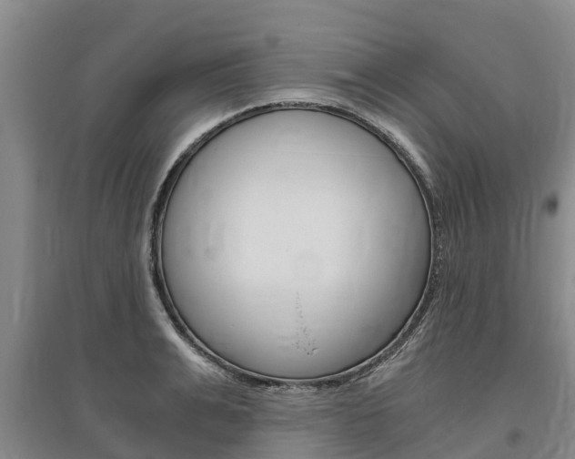 X0000095890991200801110824