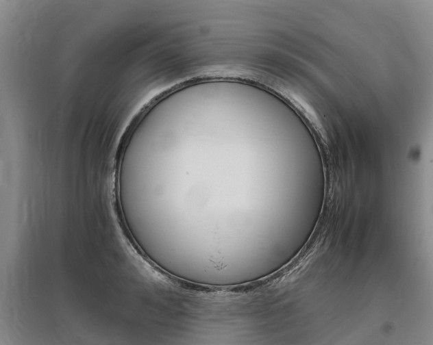 X0000095890992200801110824