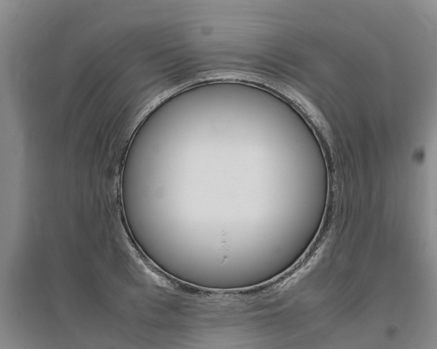 X0000095890993200801110824