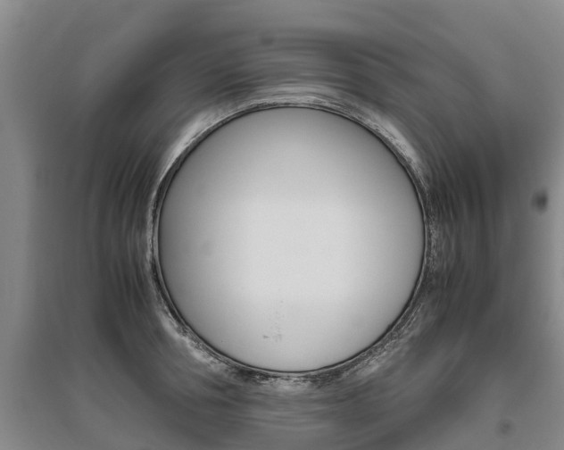 X0000095890994200801110824
