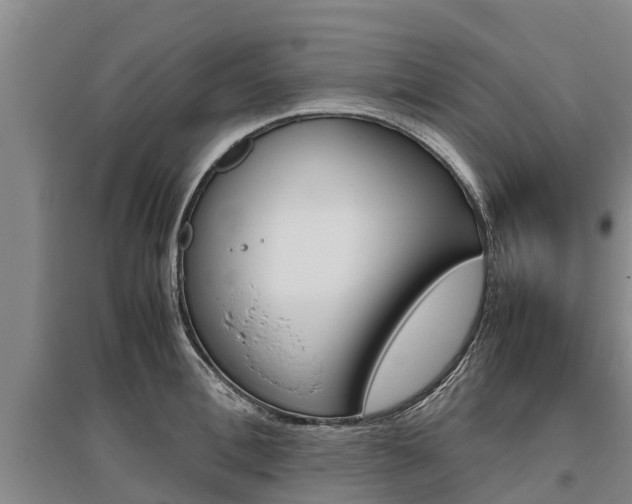 X0000095890996200801110824