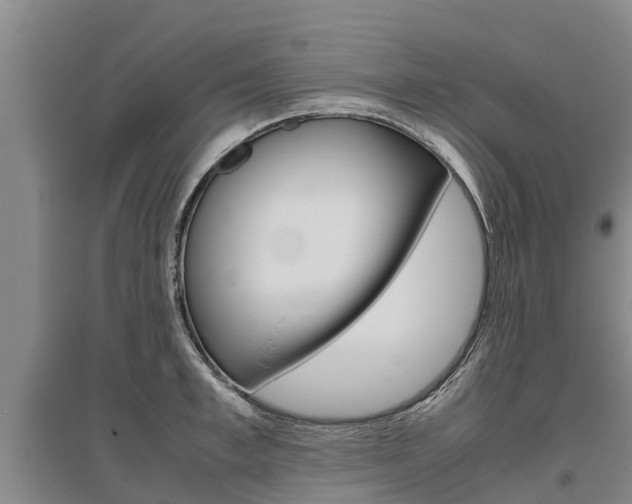 X0000095890997200801110824