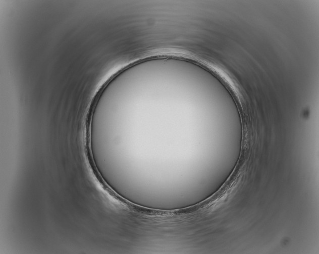 X0000095890999200801110824