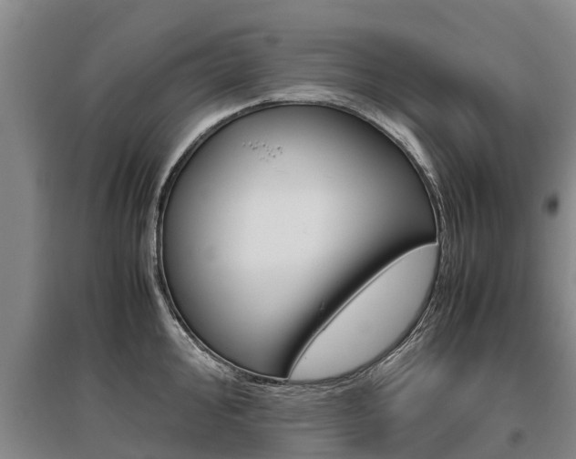 X0000095891000200801110824