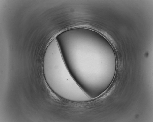 X0000095891001200801110824
