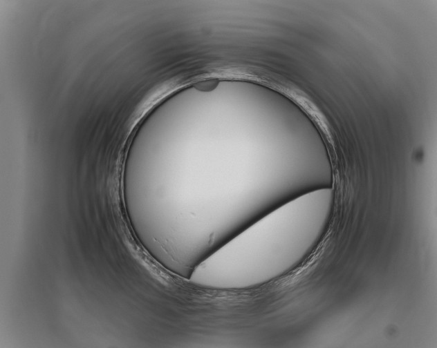 X0000095891002200801110824