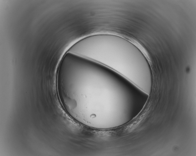 X0000095891004200801110824