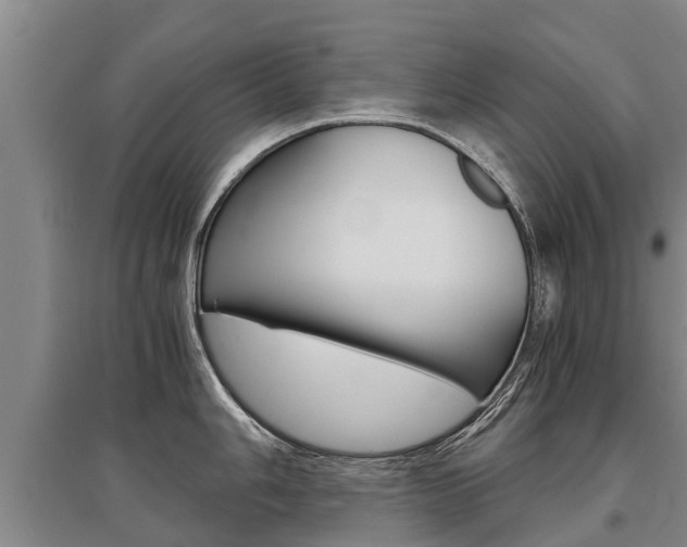X0000095891006200801110824