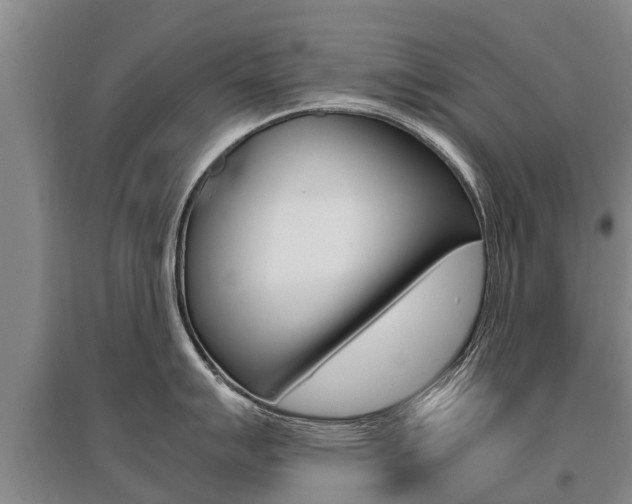 X0000095891007200801110824