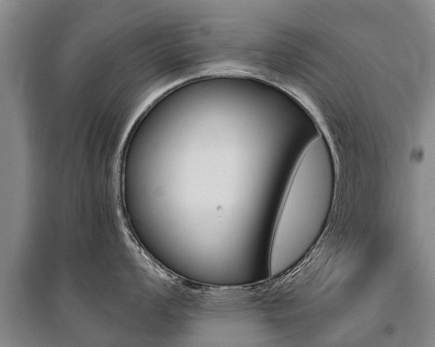 X0000095891008200801110824