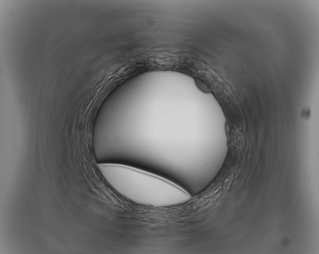 X0000095891009200801110823