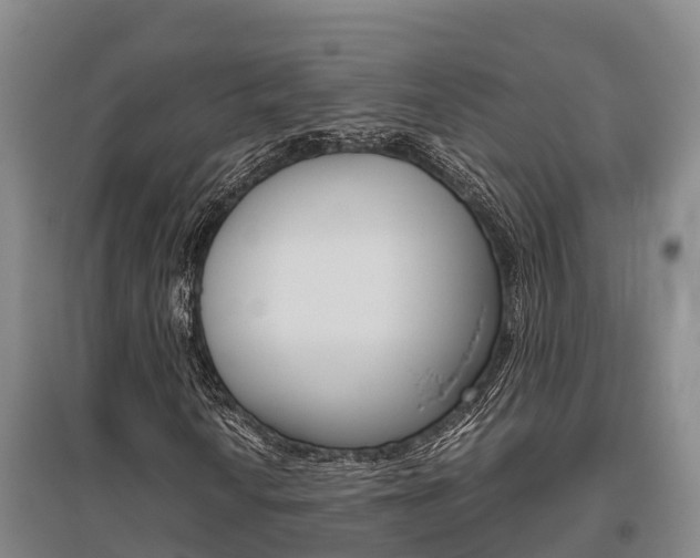 X0000095891010200801110823