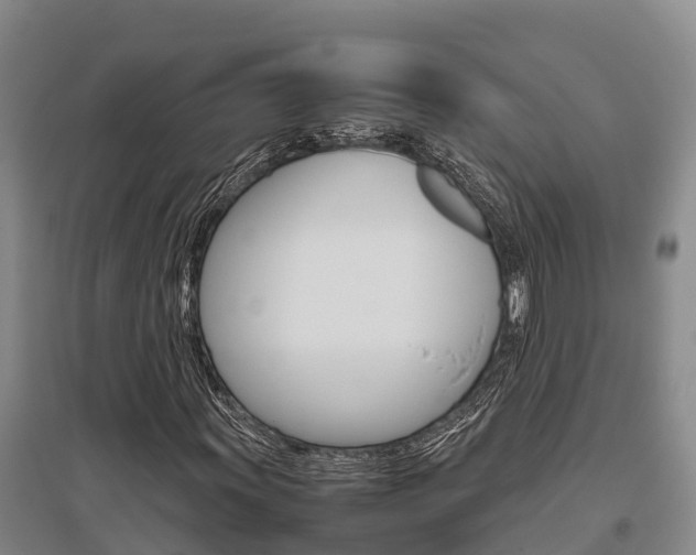 X0000095891011200801110823