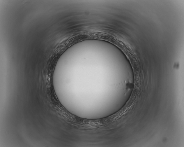 X0000095891013200801110823