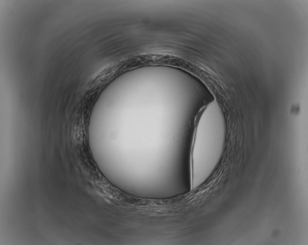 X0000095891014200801110823