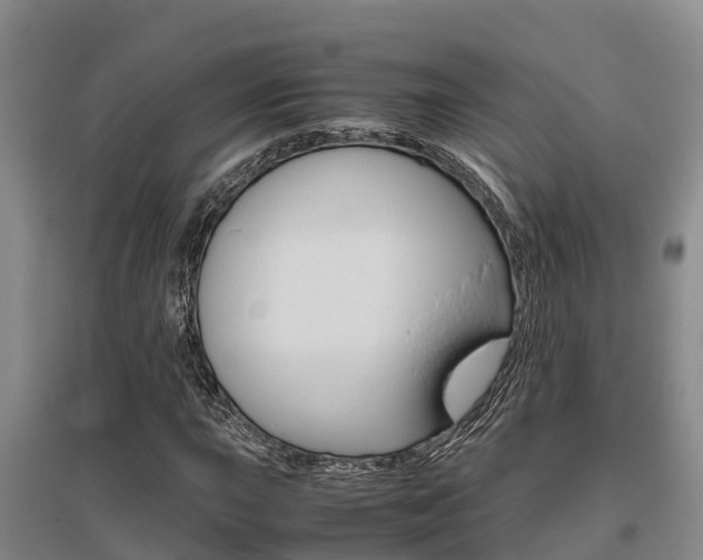 X0000095891015200801110824
