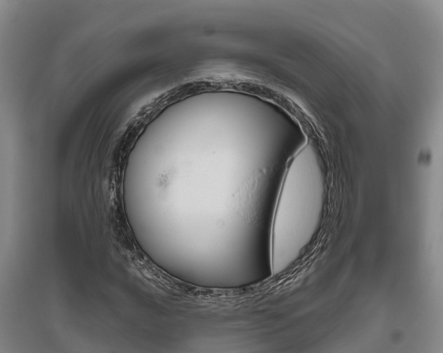 X0000095891016200801110824