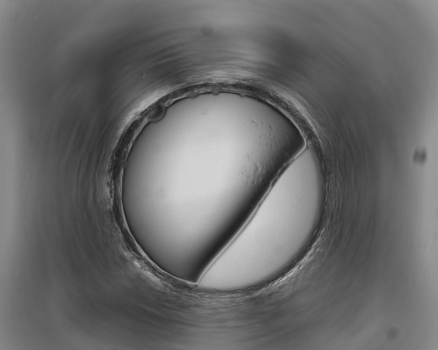 X0000095891018200801110824