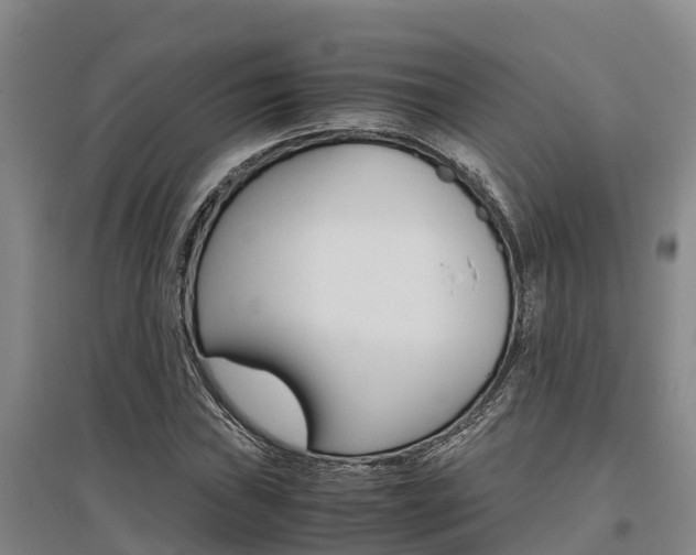 X0000095891019200801110824