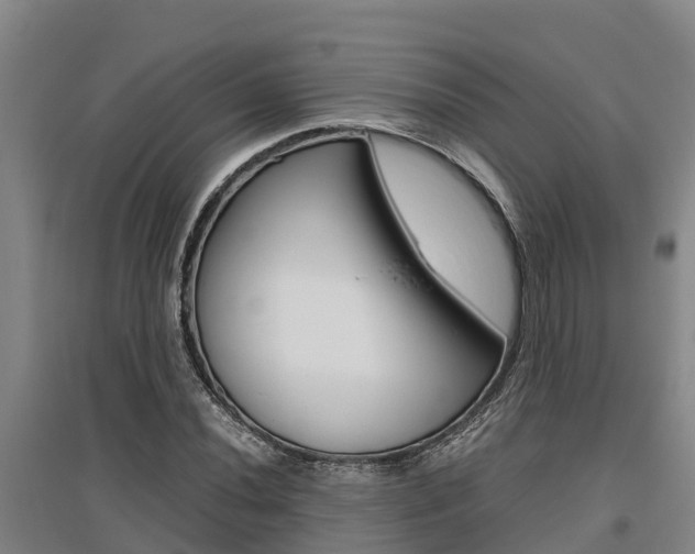 X0000095891020200801110824