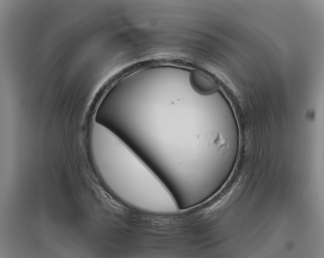 X0000095891021200801110824