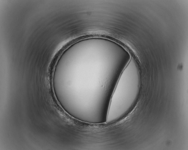 X0000095891022200801110824