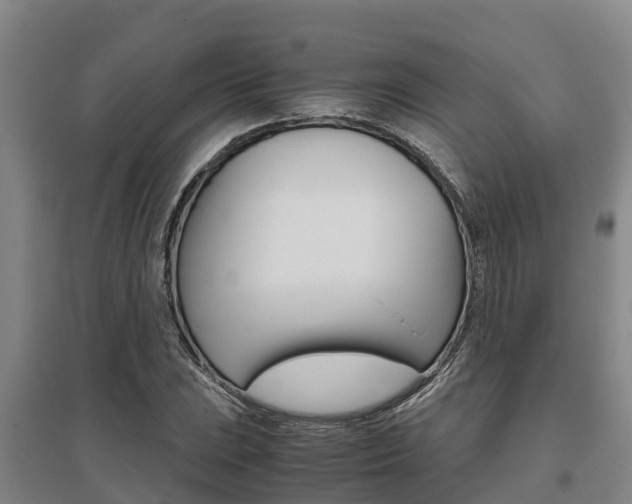 X0000095891023200801110824