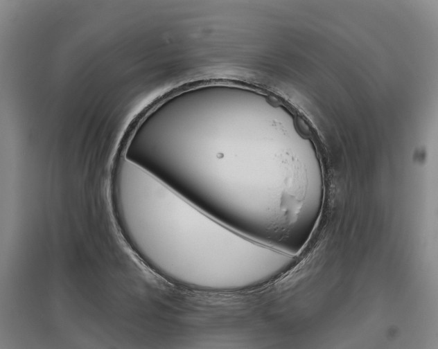 X0000095891024200801110824