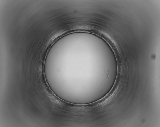 X0000095891025200801110824