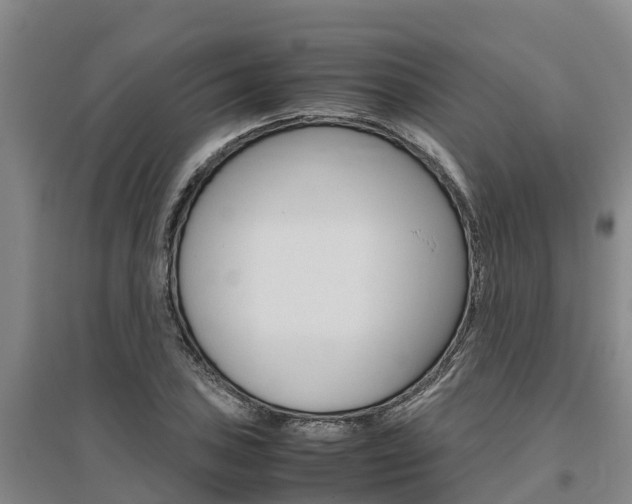 X0000095891027200801110824