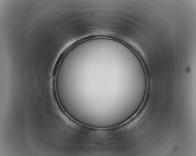 X0000095891029200801110824