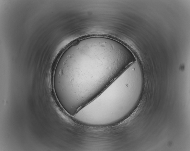 X0000095891030200801110824