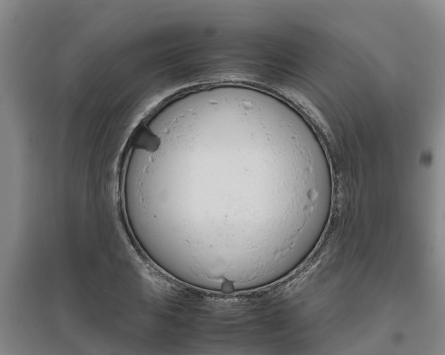 X0000095891031200801110824
