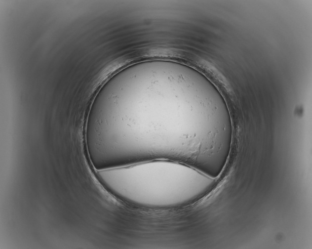 X0000095891033200801110824