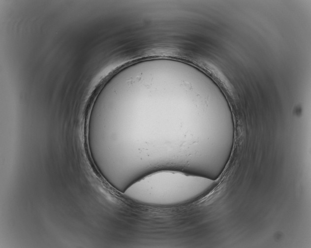 X0000095891035200801110824