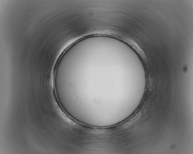 X0000095891036200801110824