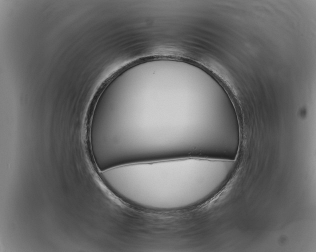 X0000095891037200801110824