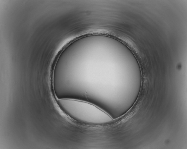 X0000095891038200801110824