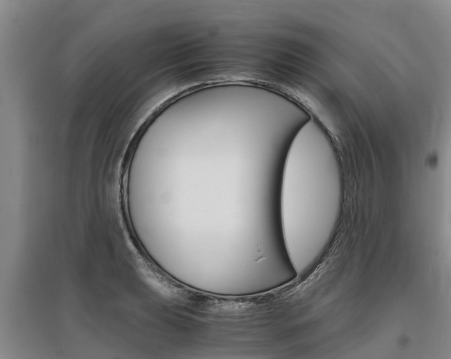 X0000095891039200801110824
