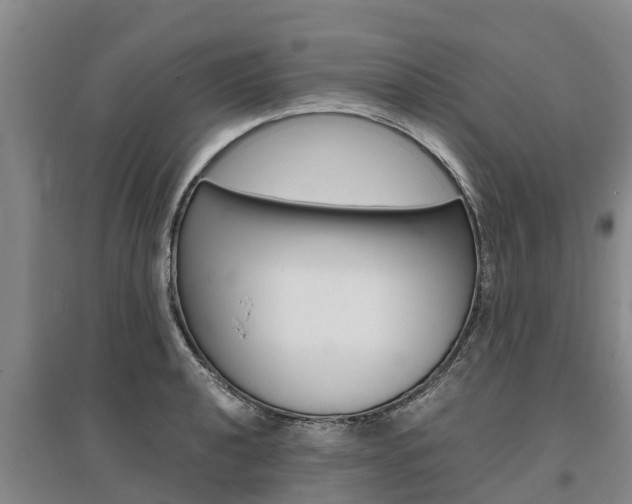 X0000095891040200801110824