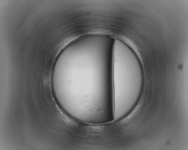 X0000095891041200801110824