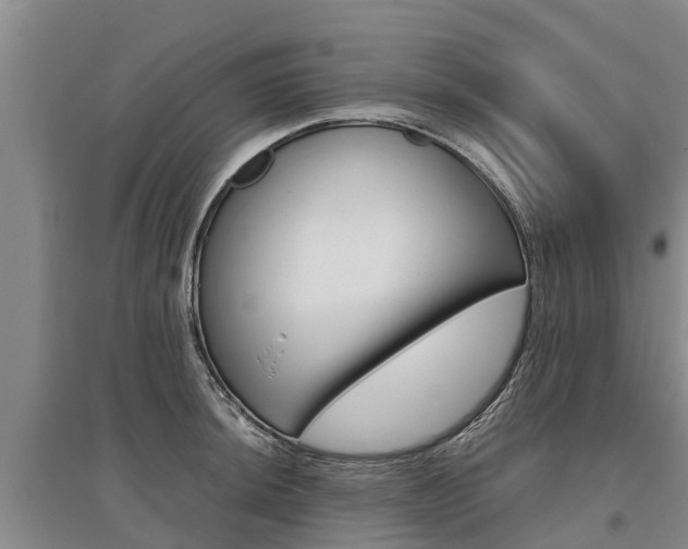 X0000095891044200801110824