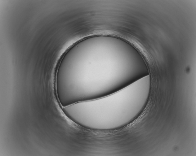 X0000095891046200801110824