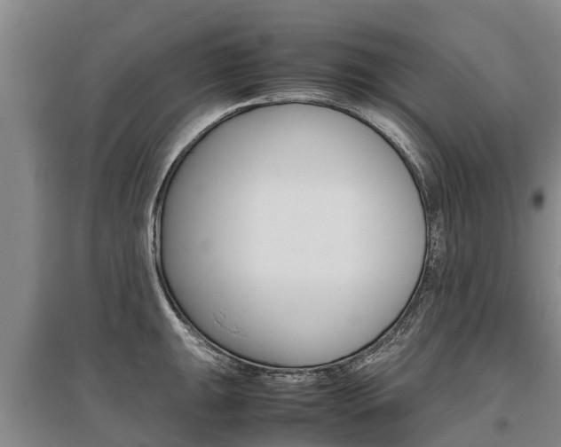 X0000095891047200801110824
