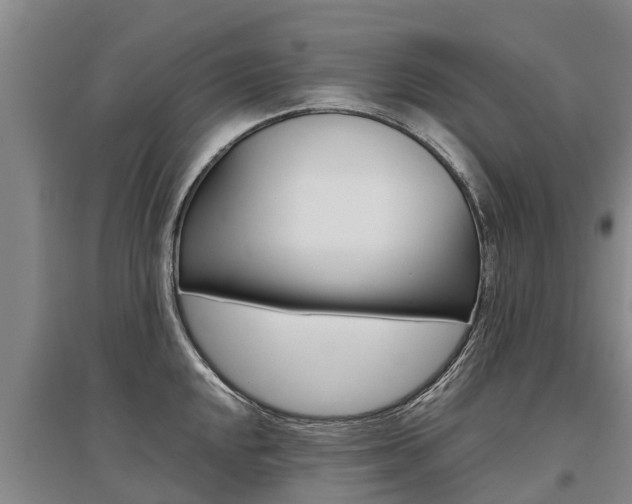 X0000095891048200801110824