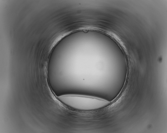 X0000095891049200801110824
