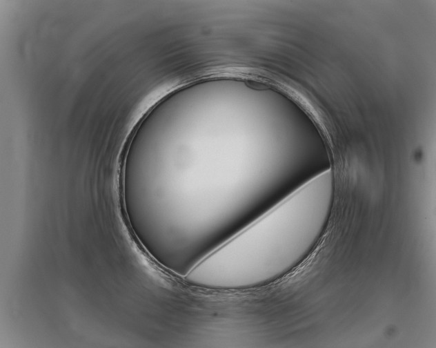 X0000095891050200801110824