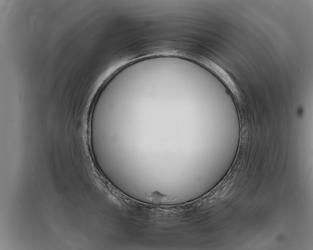 X0000095891051200801110824