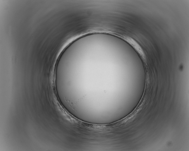 X0000095891052200801110824