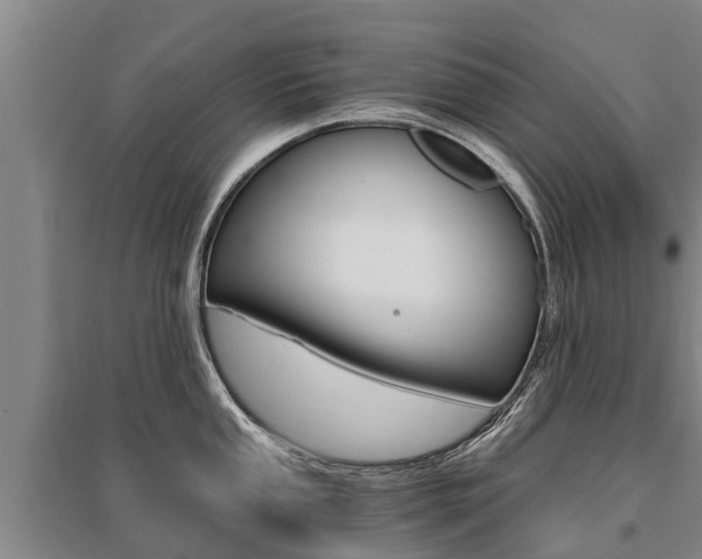 X0000095891053200801110824